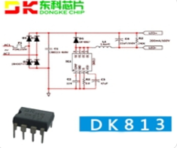 DK813